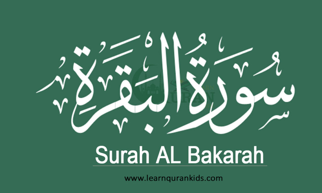 surah al baqarah last 2 ayat benefits